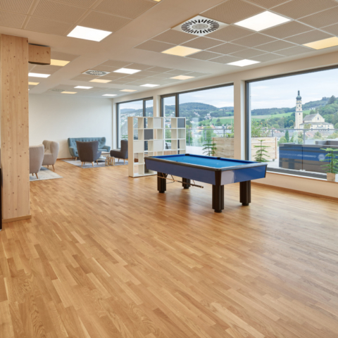 ITC2 plus Deggendorf, Lounge mit Billard